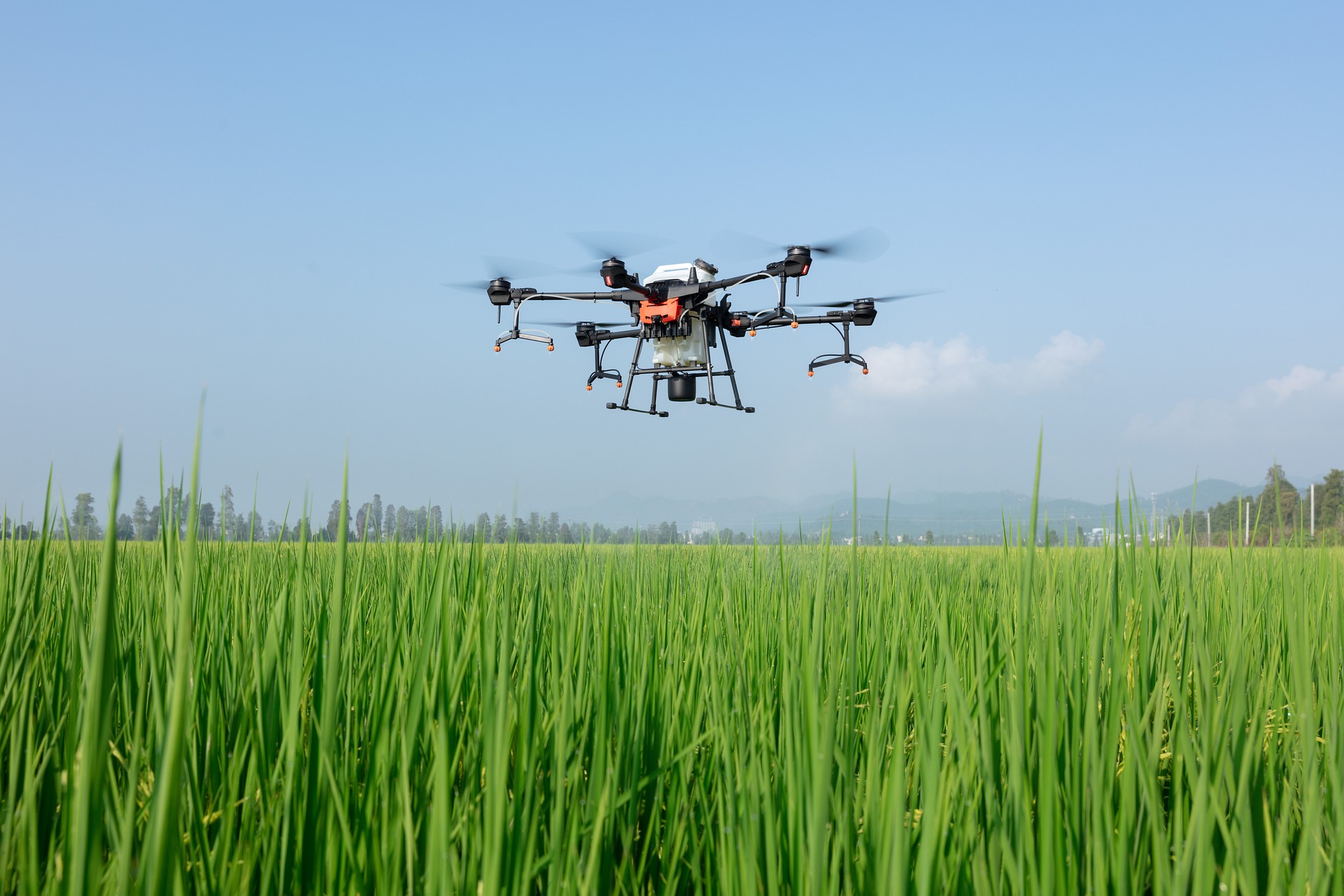 El papel de la tecnología en la agricultura moderna