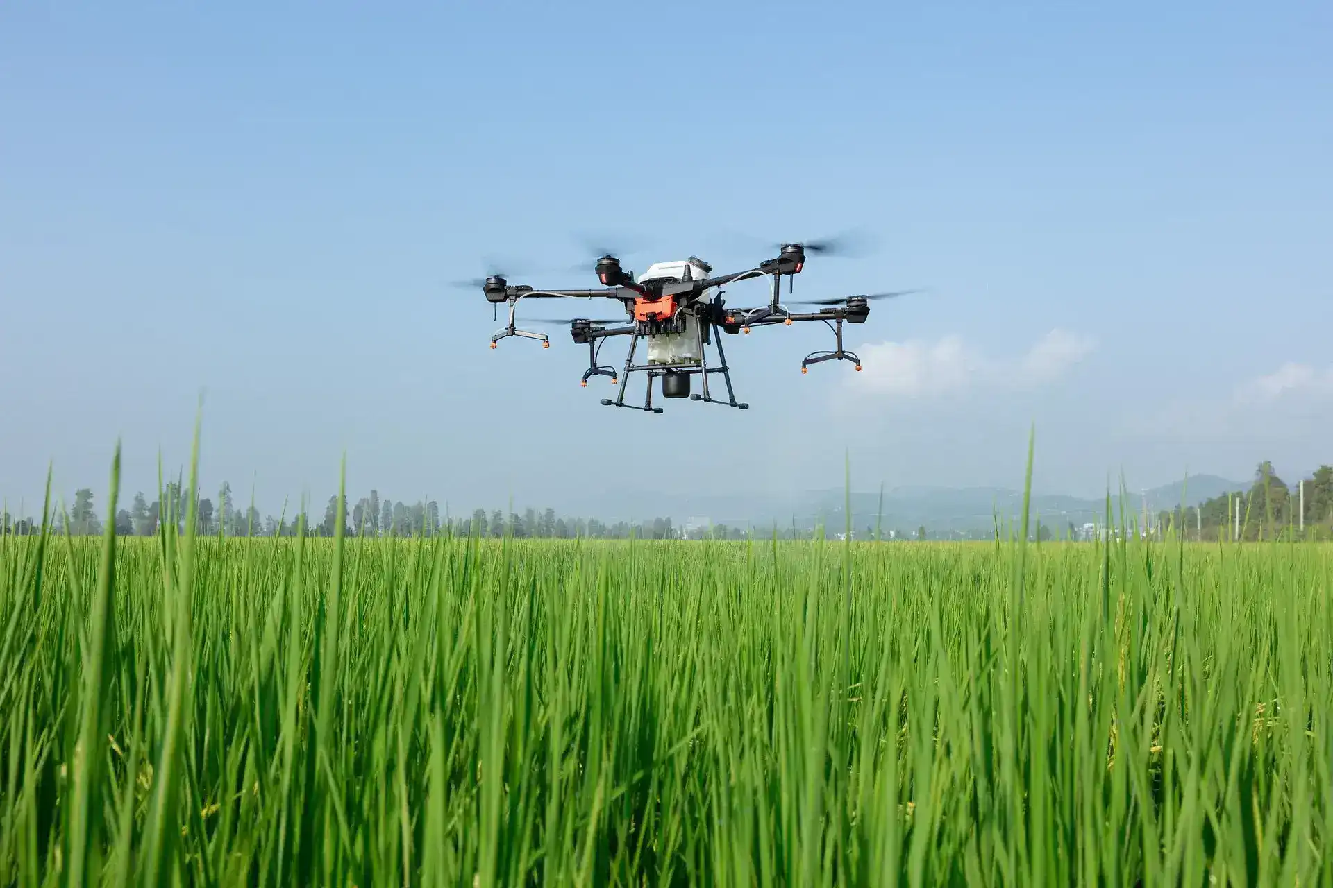 El papel de la tecnología en la agricultura moderna